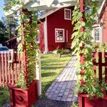 Hyr ett 4-rums hus på 80 m² i Uppsala