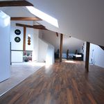 Rent 2 rooms apartment of 55 m² in Sala