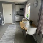 Rent 1 rooms house of 24 m² in Uppsala