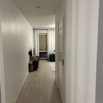 Rent 2 rooms apartment of 55 m² in Gothenburg