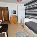 Rent 1 rooms apartment of 14 m² in Vilhelmina