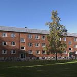 Rent 4 rooms apartment of 103 m² in Umeå