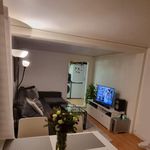 Rent 2 rooms house of 47 m² in Knivsta