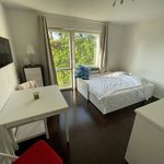 Hyr ett 1-rums lägenhet på 20 m² i Solna