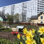 Hyr ett 4-rums lägenhet på 96 m² i Solna