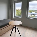 Rent 1 rooms apartment of 16 m² in Stockholm