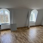 Rent 1 rooms apartment of 42 m² in Göteborg