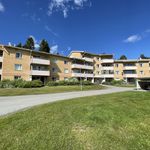 Rent 1 rooms apartment of 43 m² in Skellefteå