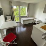 Rent 1 rooms apartment of 20 m² in Solna