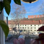 Hyr ett 3-rums hus på 65 m² i Göteborg