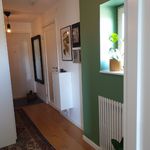 Hyr ett 1-rums hus på 24 m² i Vaxholm